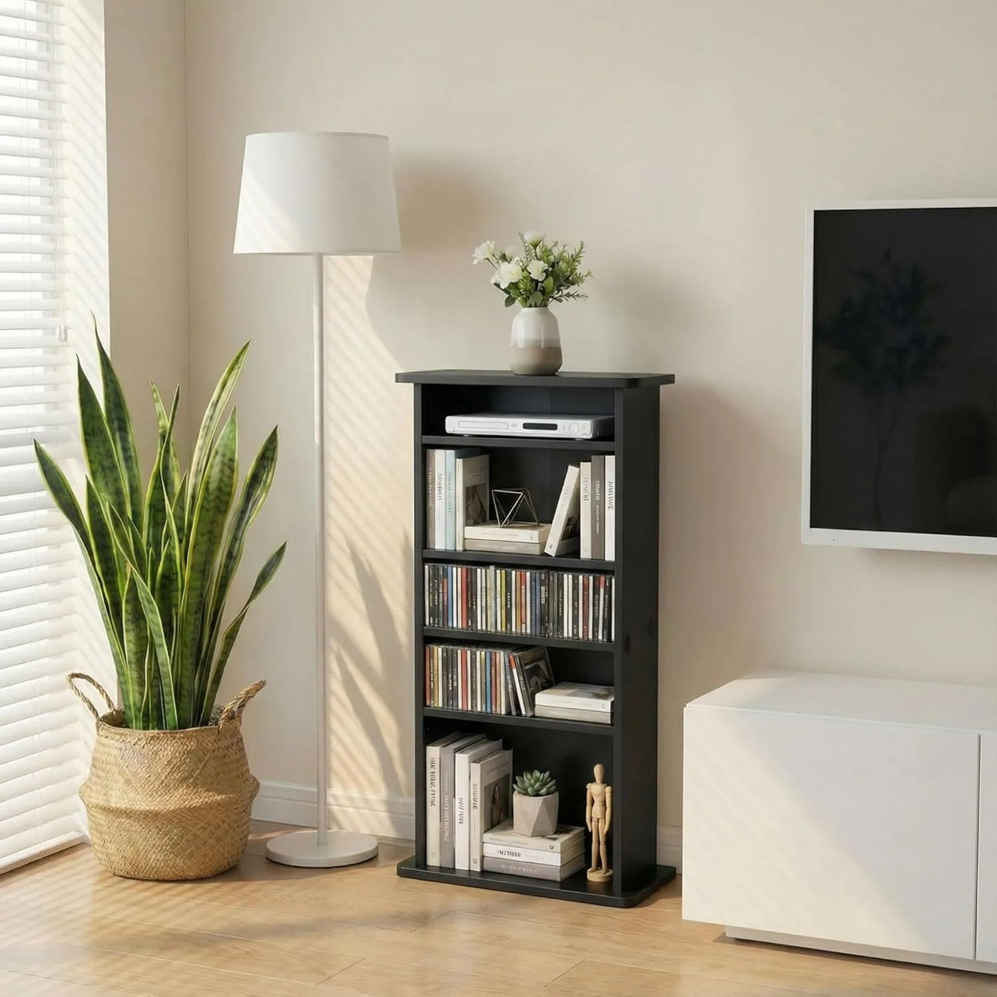 Multimedia Storage Cabinet