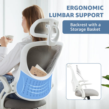 Computer Desk Chair with Lumbar Support