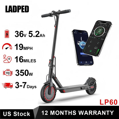 Folding Electric Scooter