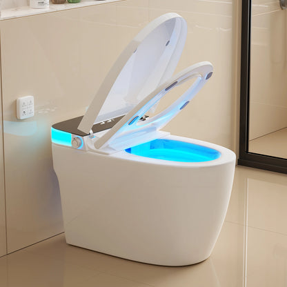 Heated Bidet Toilet Seat