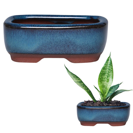 Rectangular Purple Clay Flower Pot with Drainage Hole