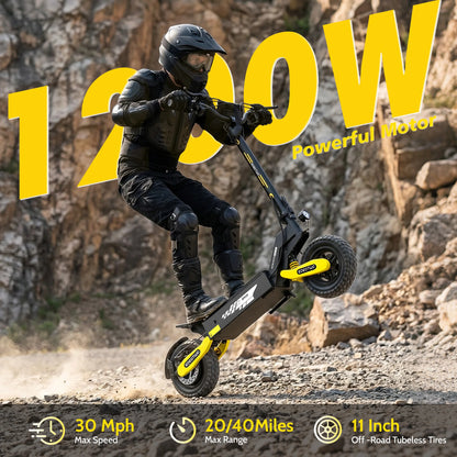 Off Road Electric Scooter