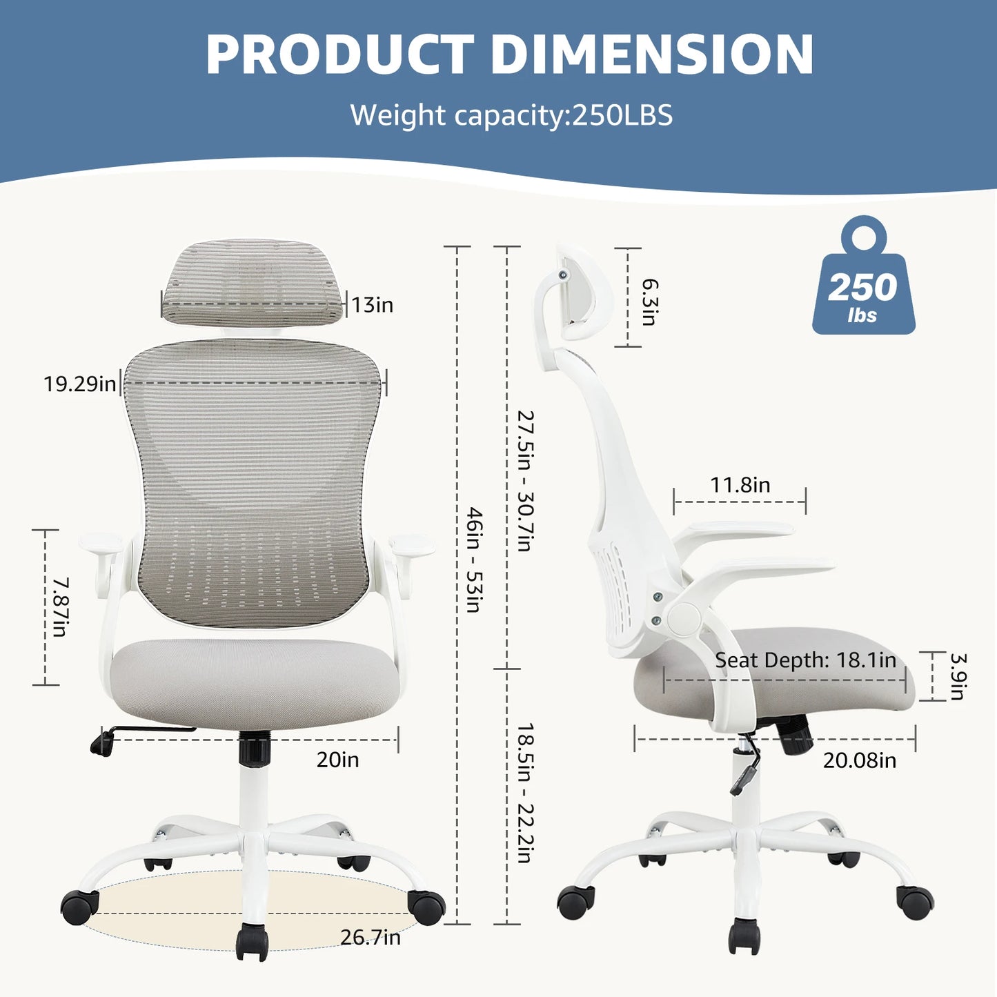 Computer Desk Chair with Lumbar Support