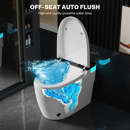 Heated Bidet Toilet Seat