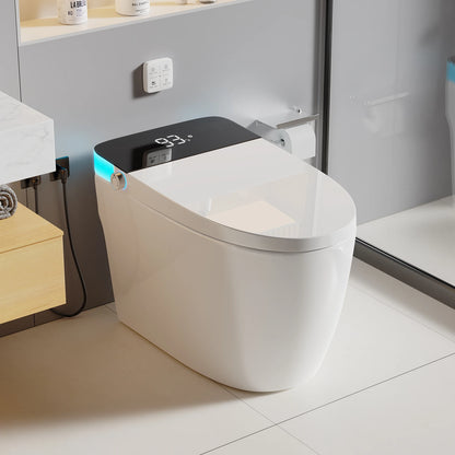 Heated Bidet Toilet Seat