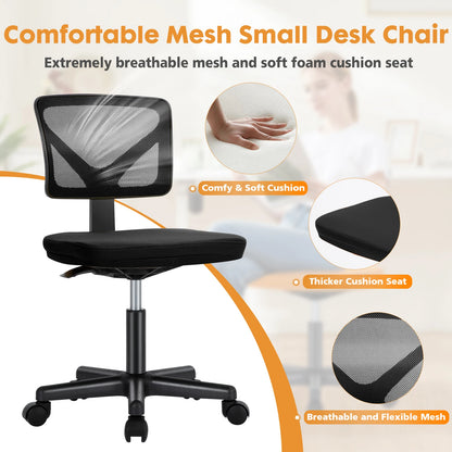 Lumbar Support Armless Rolling Swivel Computer Chair
