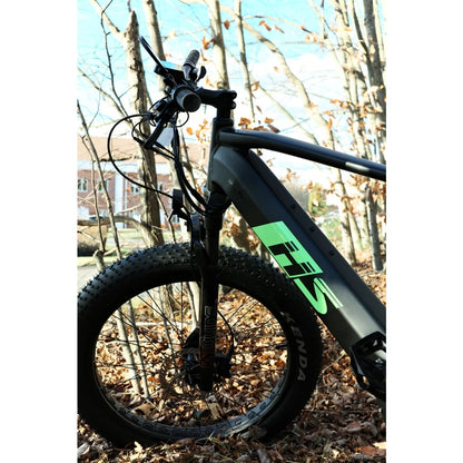 Fat Tire Electric Bike