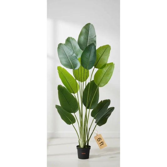 Realistic Bird of Paradise Silk Tree