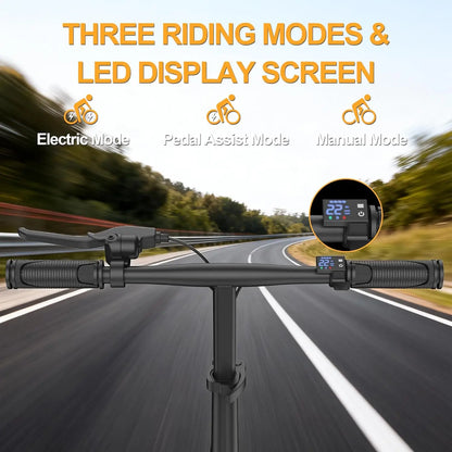 14'' Foldable Electric Bike