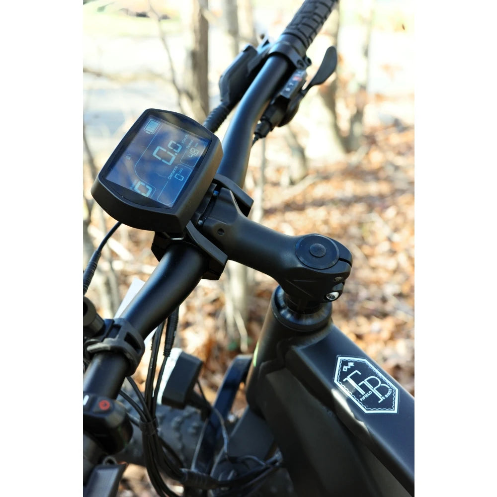 Fat Tire Electric Bike
