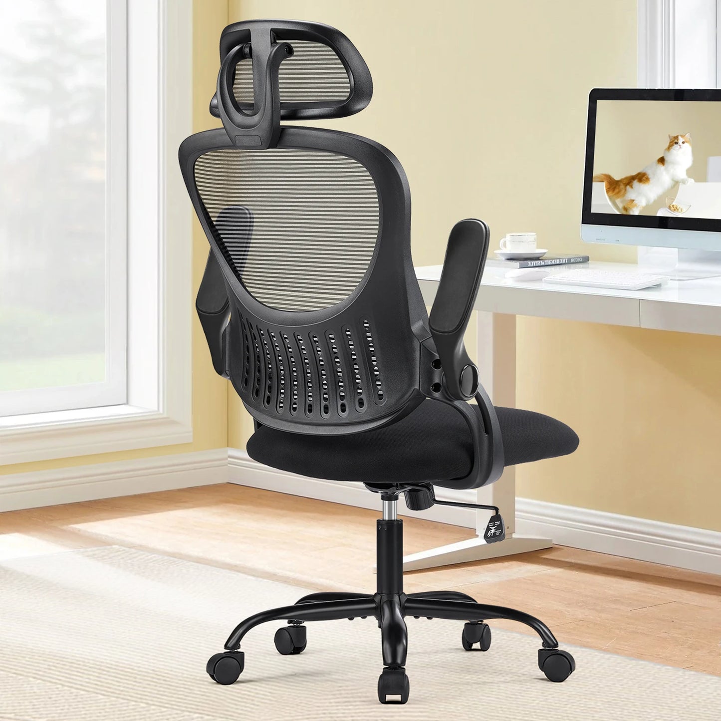 Computer Desk Chair with Lumbar Support