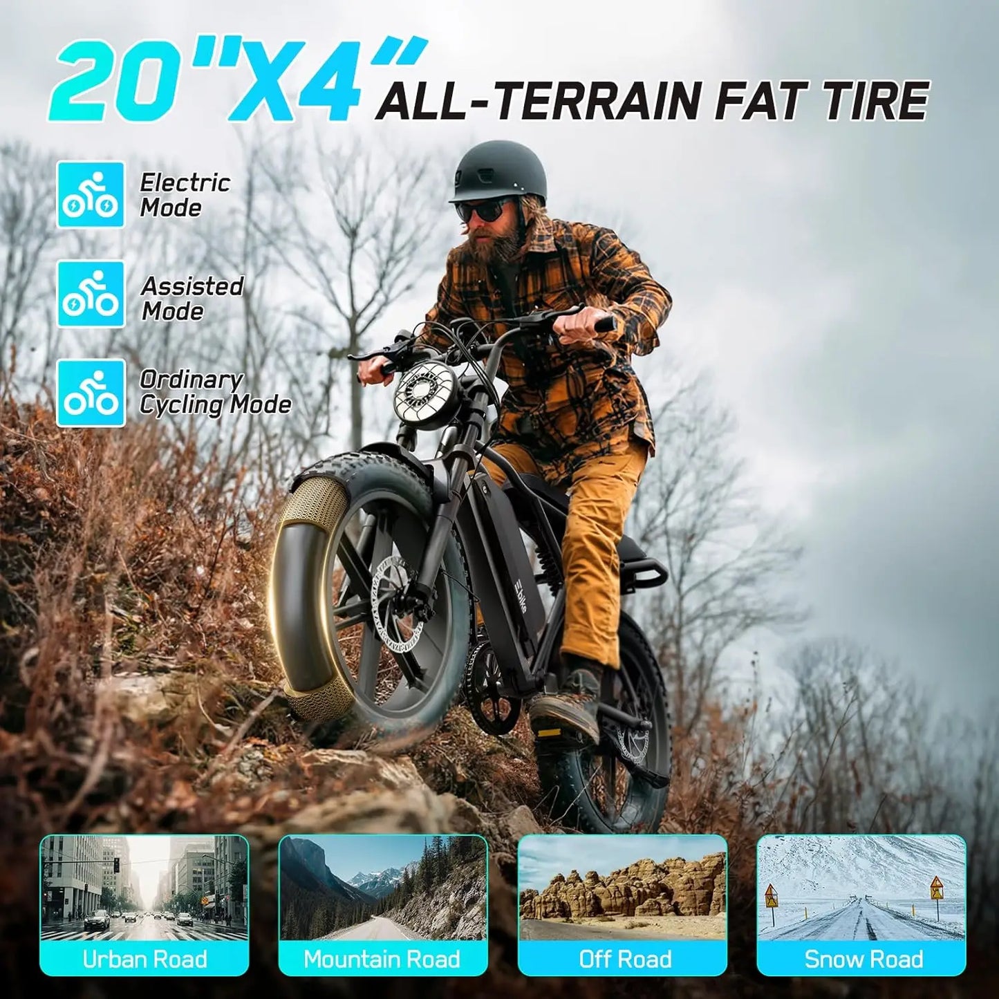 Electric Bike
