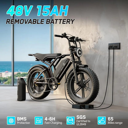Electric Bike