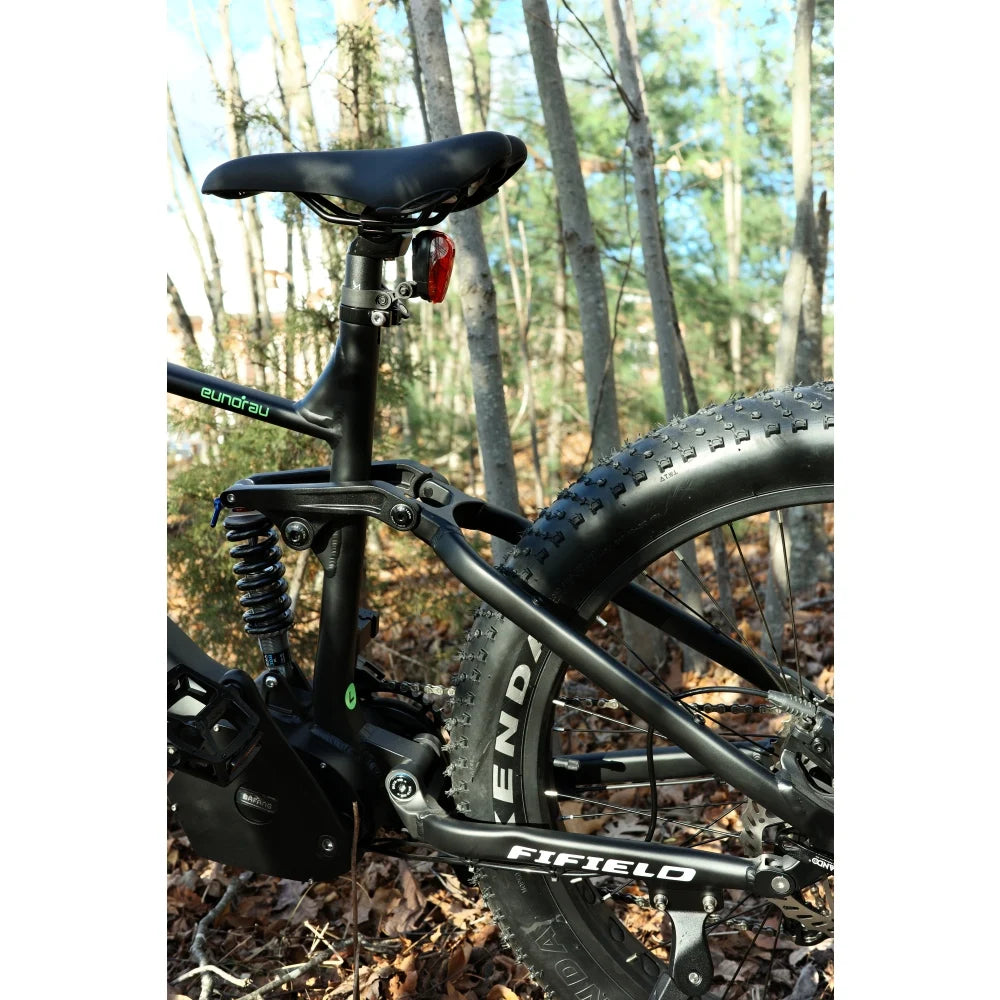 Fat Tire Electric Bike