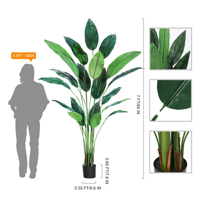 Indoor Outdoor Modern Faux Plants