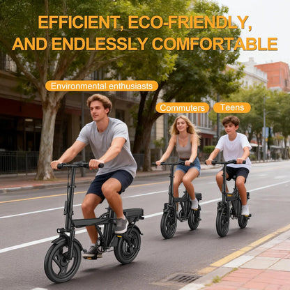 14'' Foldable Electric Bike