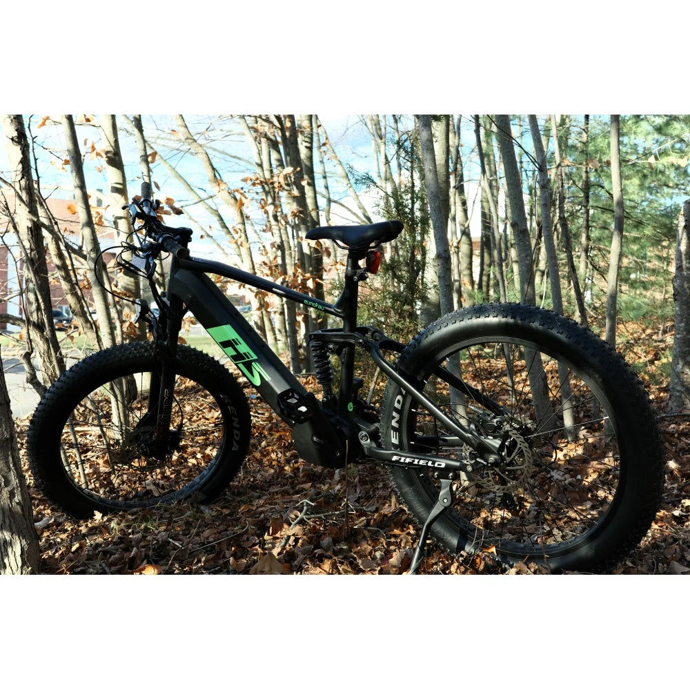 Fat Tire Electric Bike