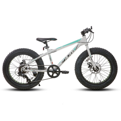 20 Inch Kids' Fat Tire Mountain Bike