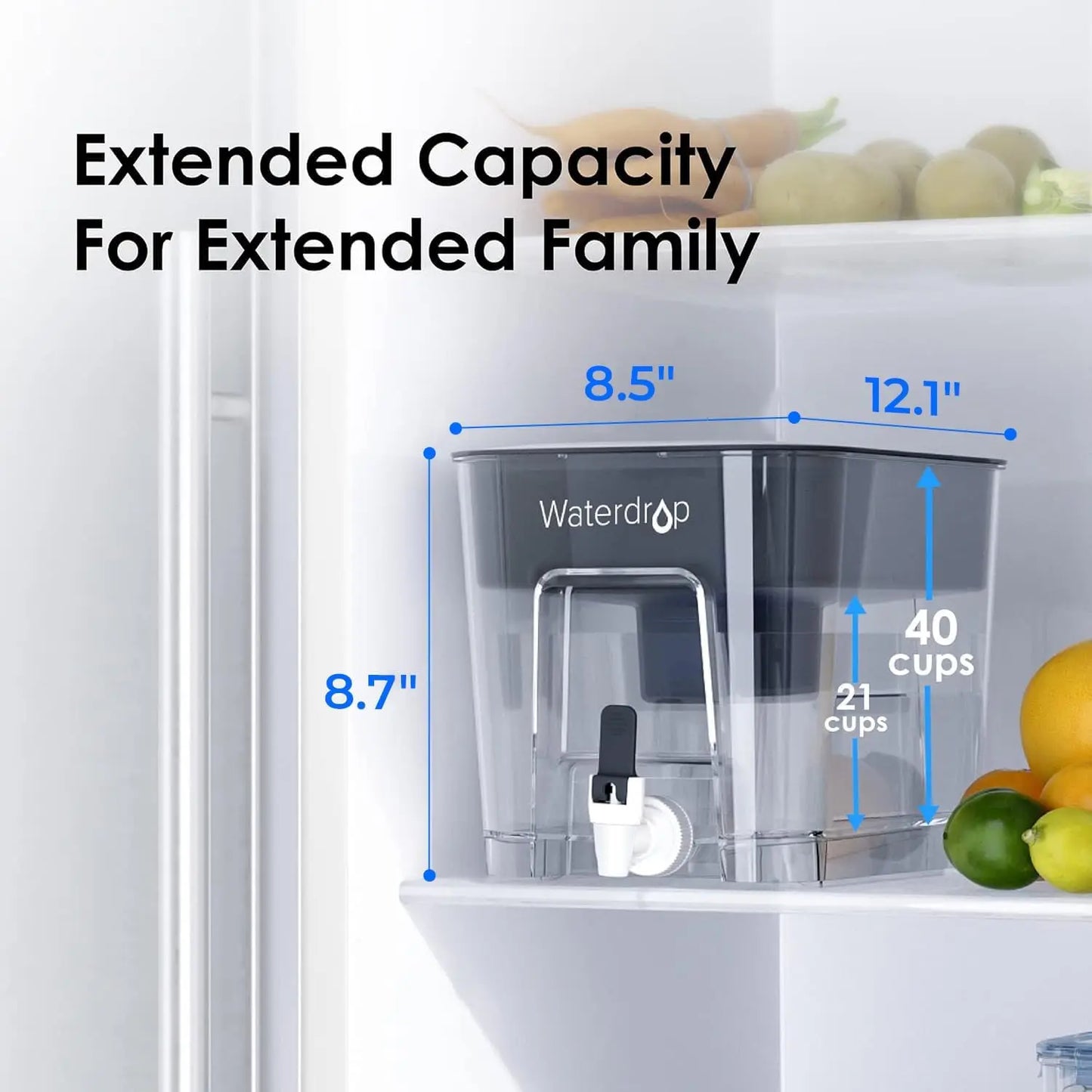 Large 40-Cup Water Filter Dispenser