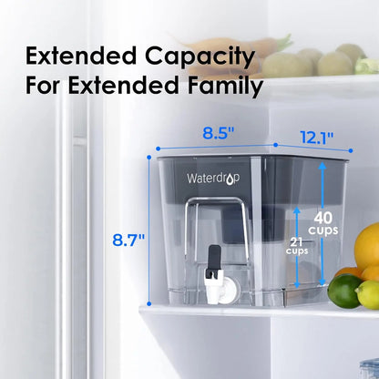 Large 40-Cup Water Filter Dispenser